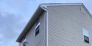 Best Siding for Commercial Buildings  in Caledonia, MI